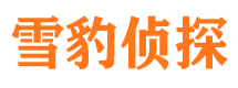 武陵市调查公司